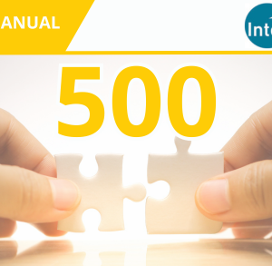 Anual 500